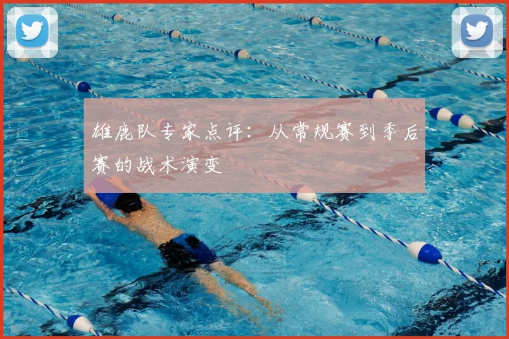 雄鹿队专家点评:从常规赛到季后赛的战术演变